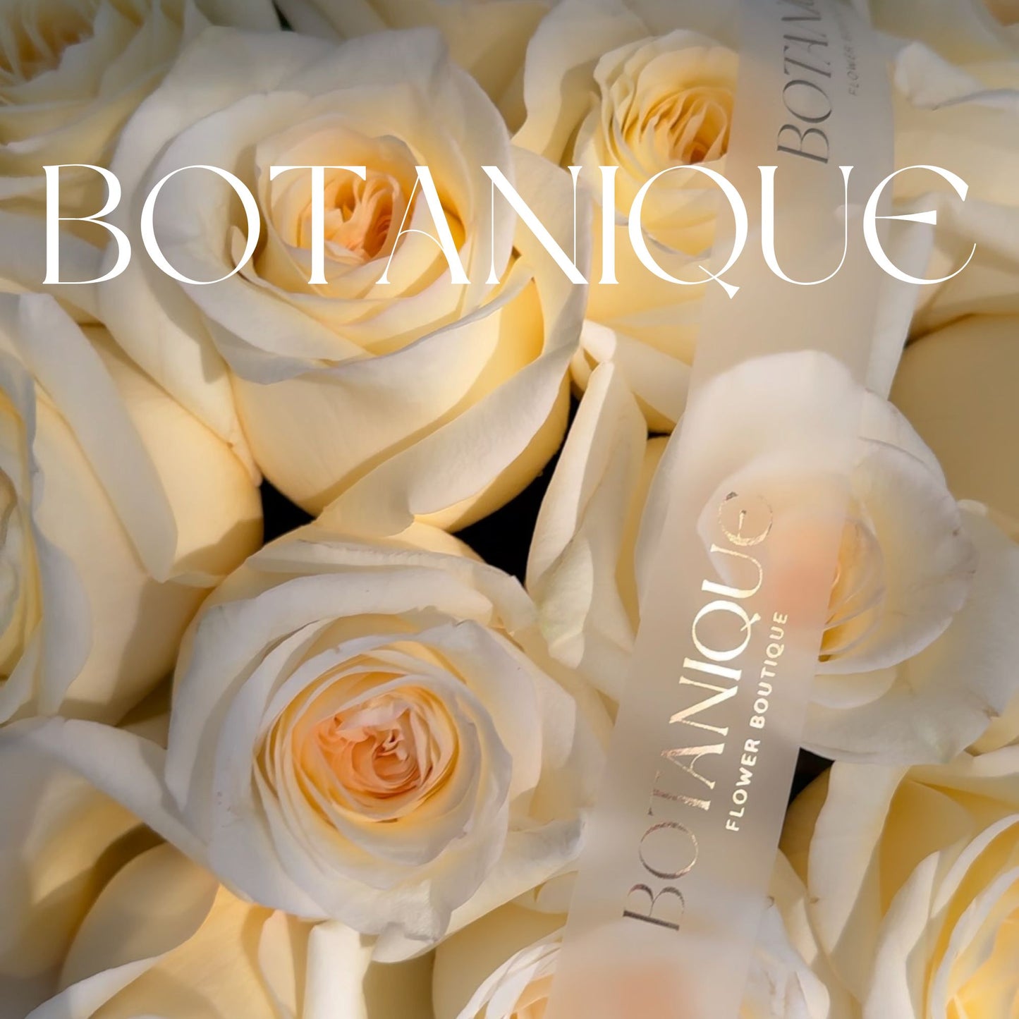 White Rose CandleLight