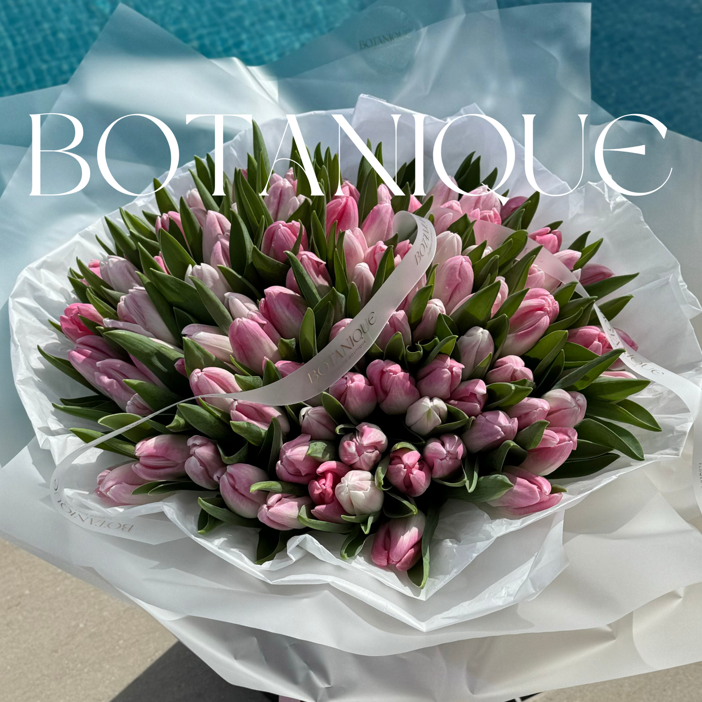 101 Tulips (any color)