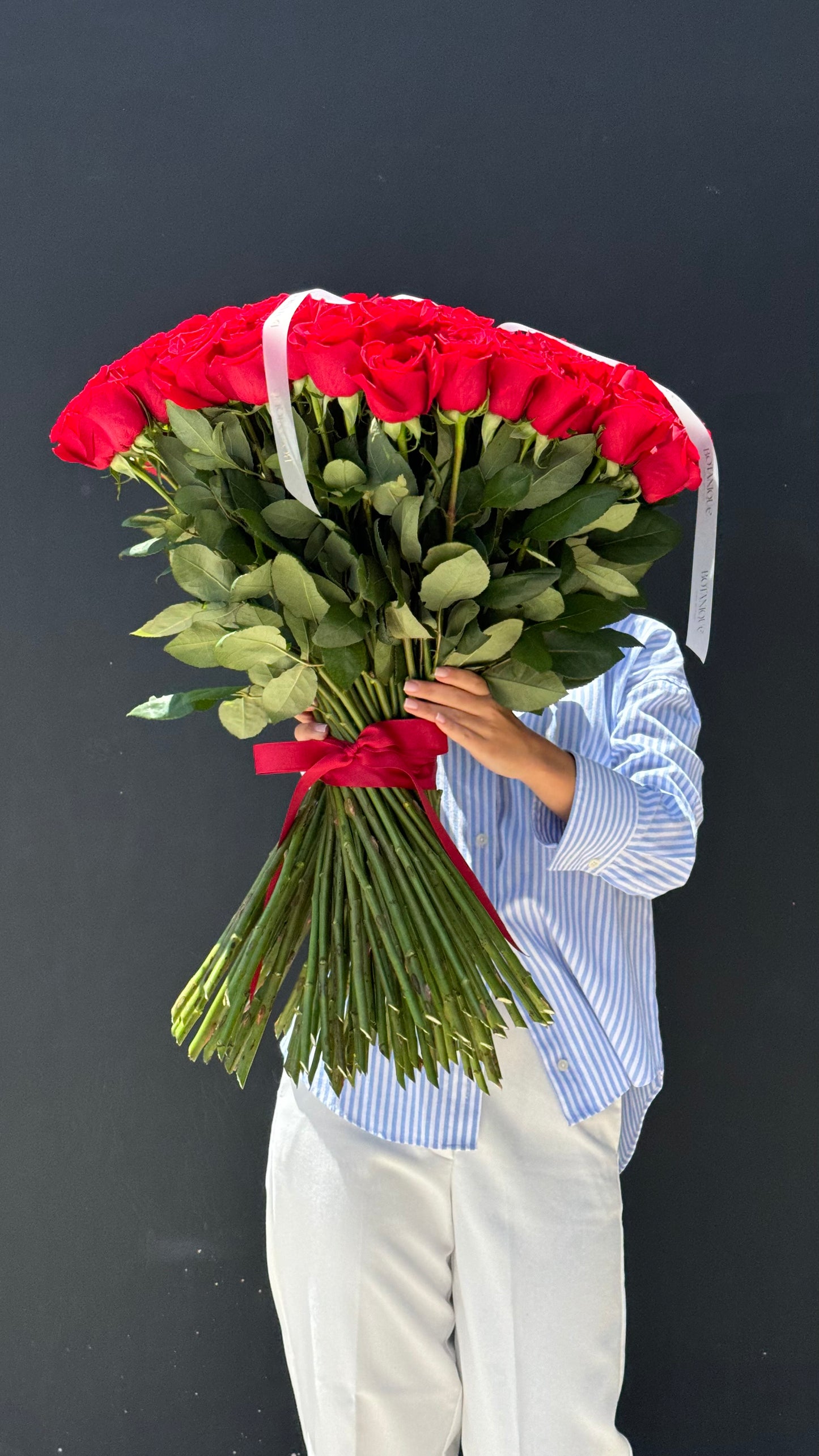 101 rosas rojas