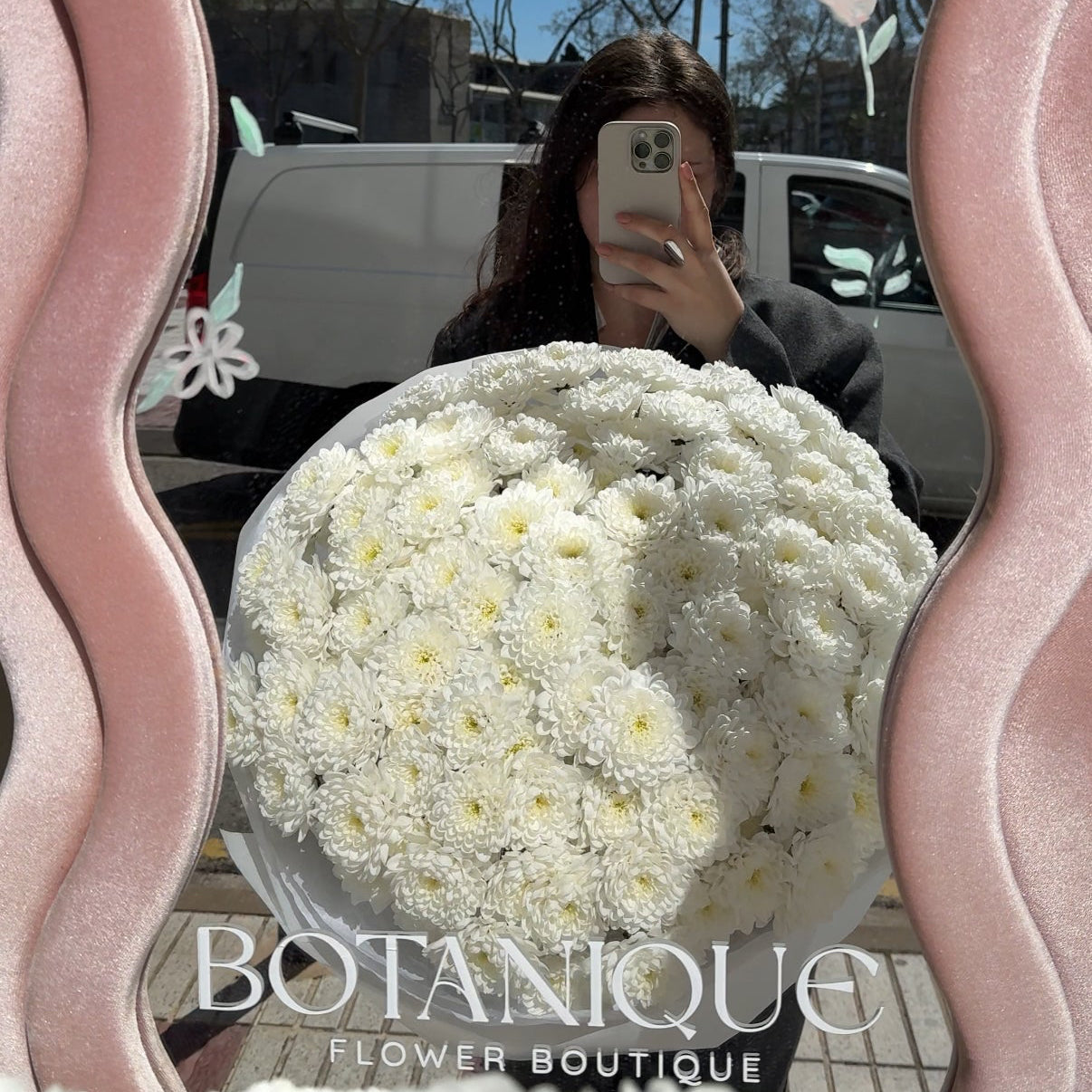 Chrisantemum dream