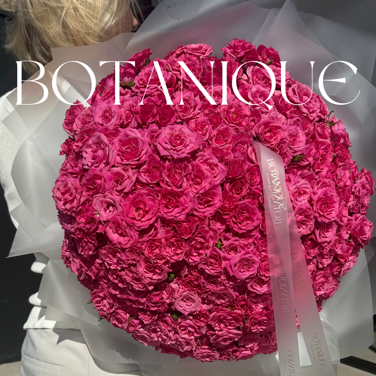 101 spray roses in fuchsia