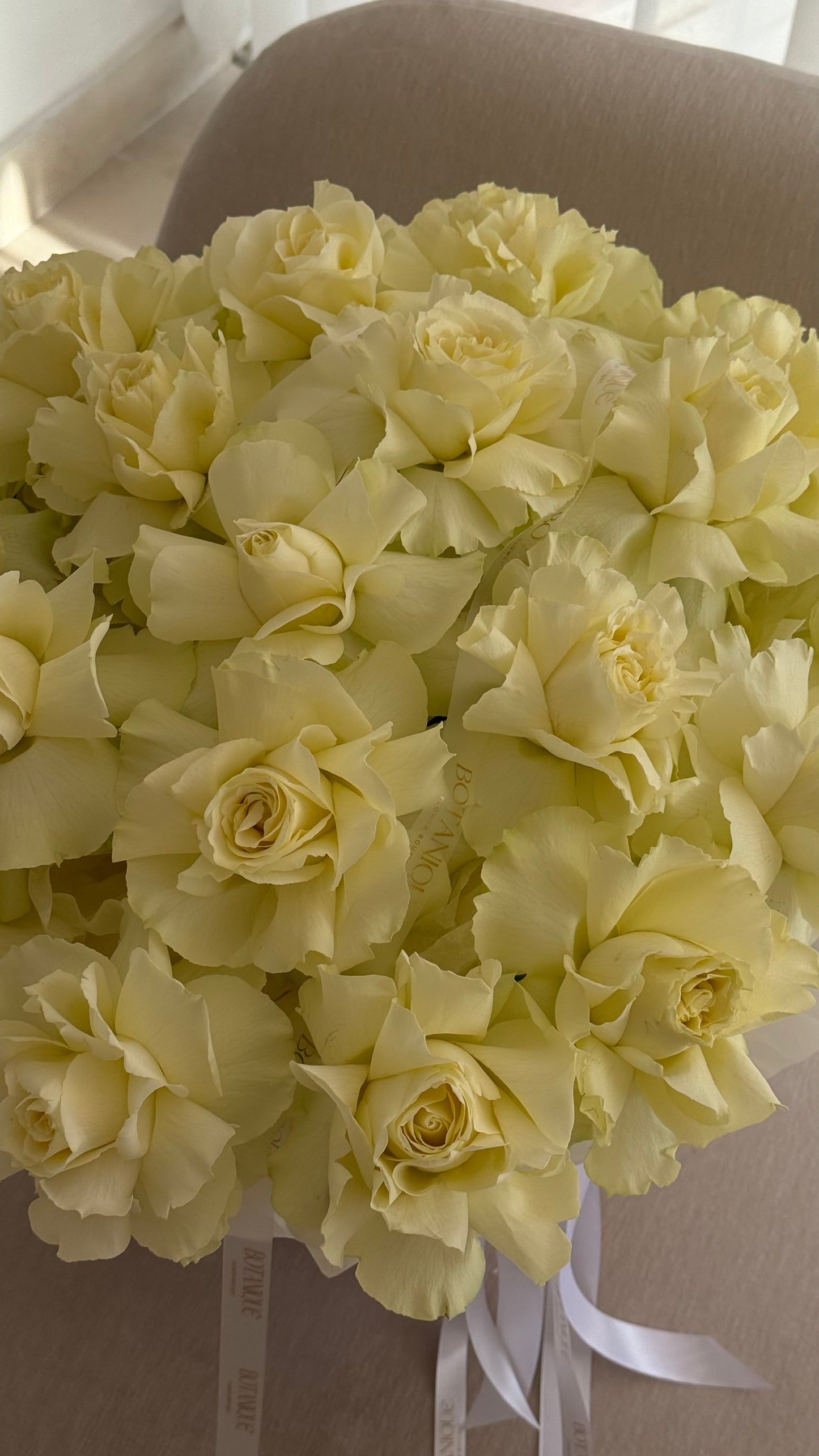 Basket of 25 French light green roses