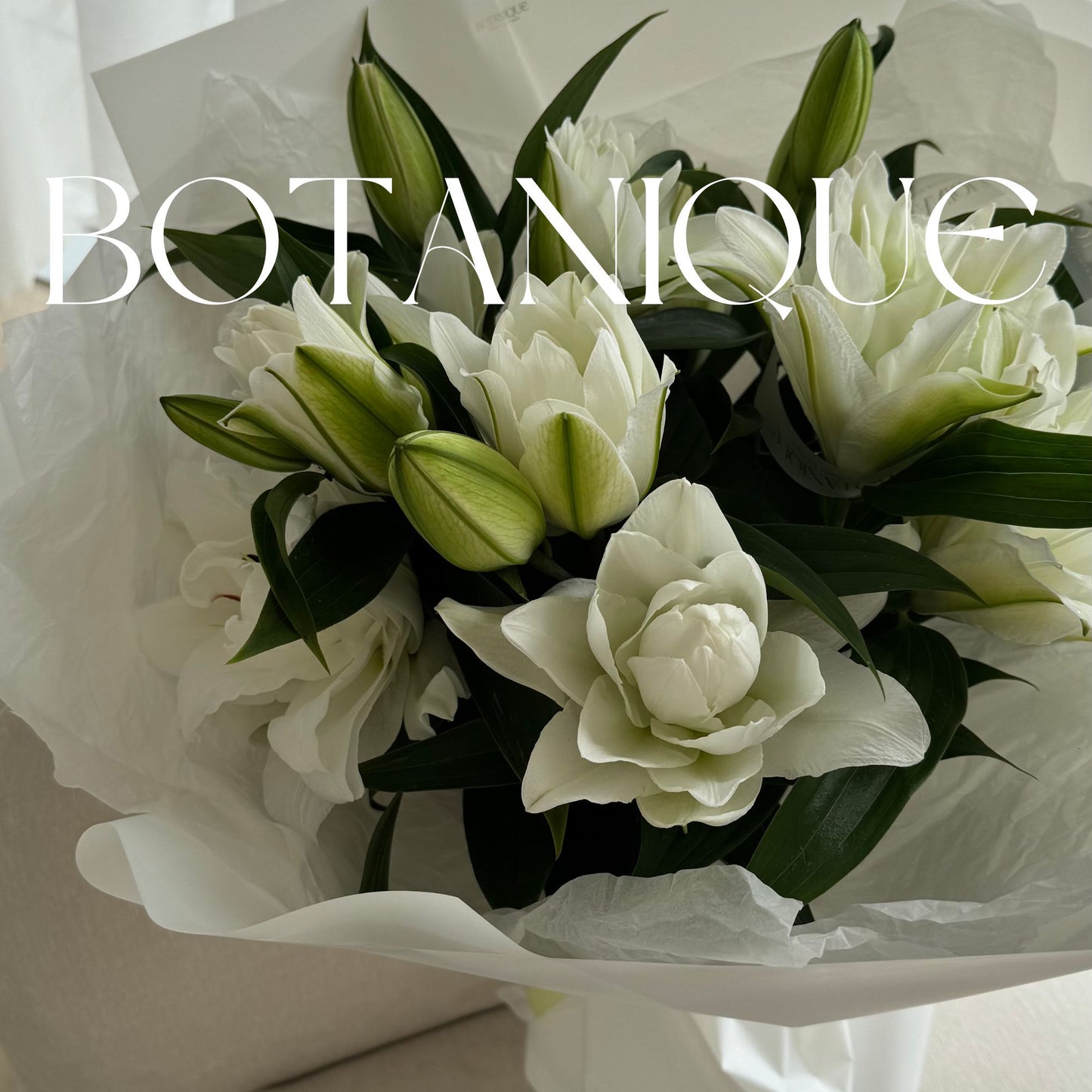 5 peony-style lilies