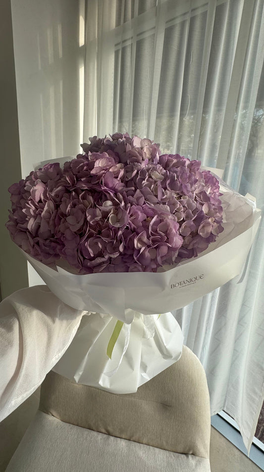 Hortensia (any colors)