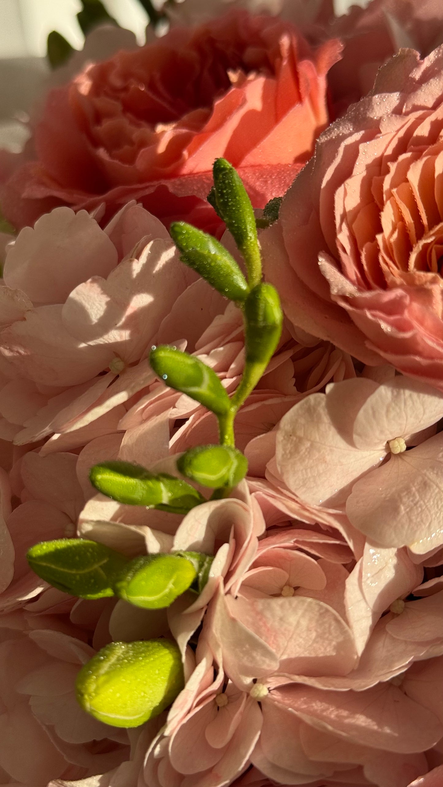 Bright bouquet