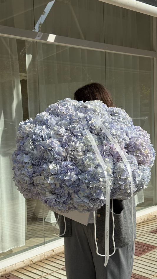 Mono bouquet Hydrangeas