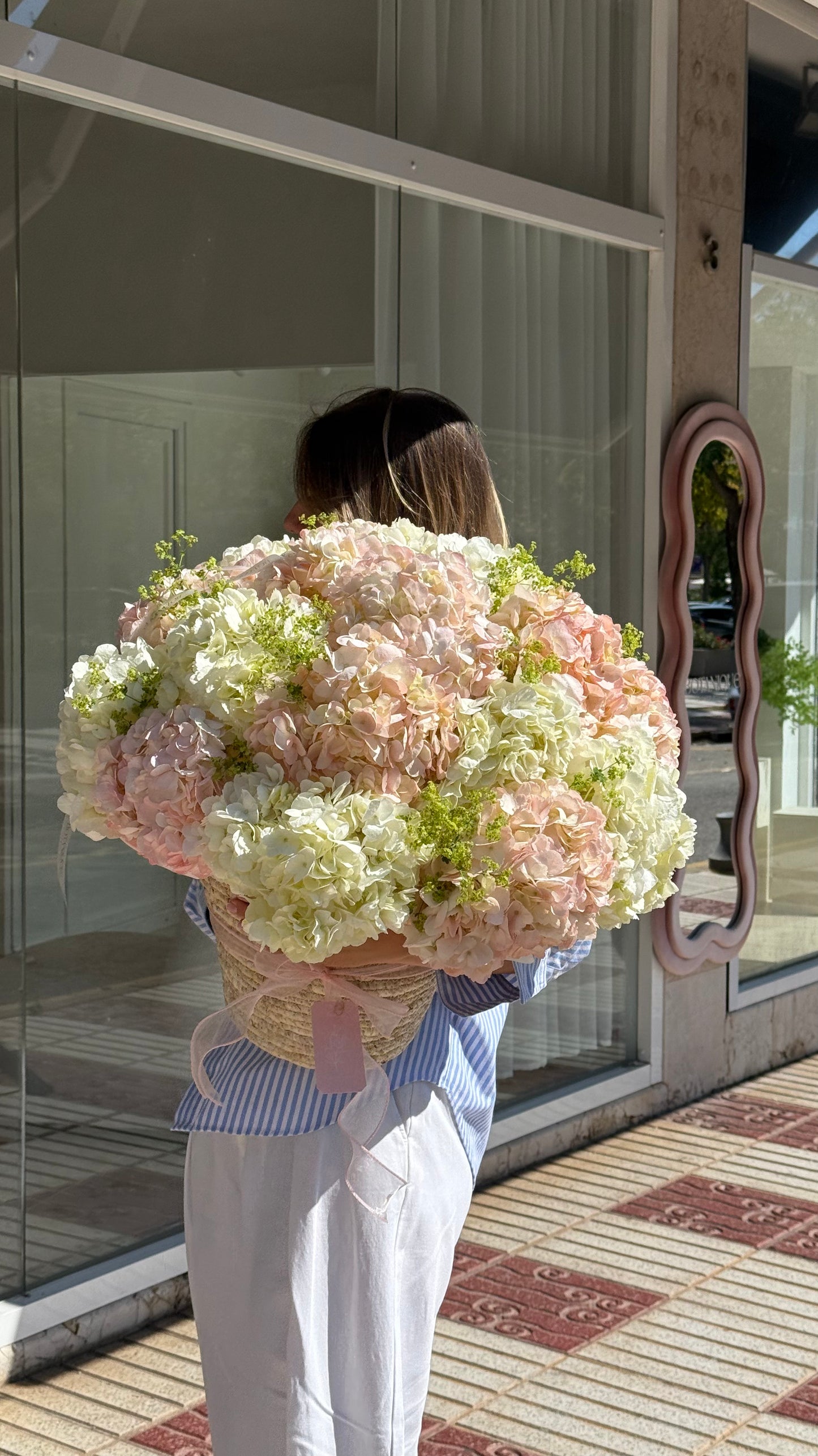 15 x Hydrangeas